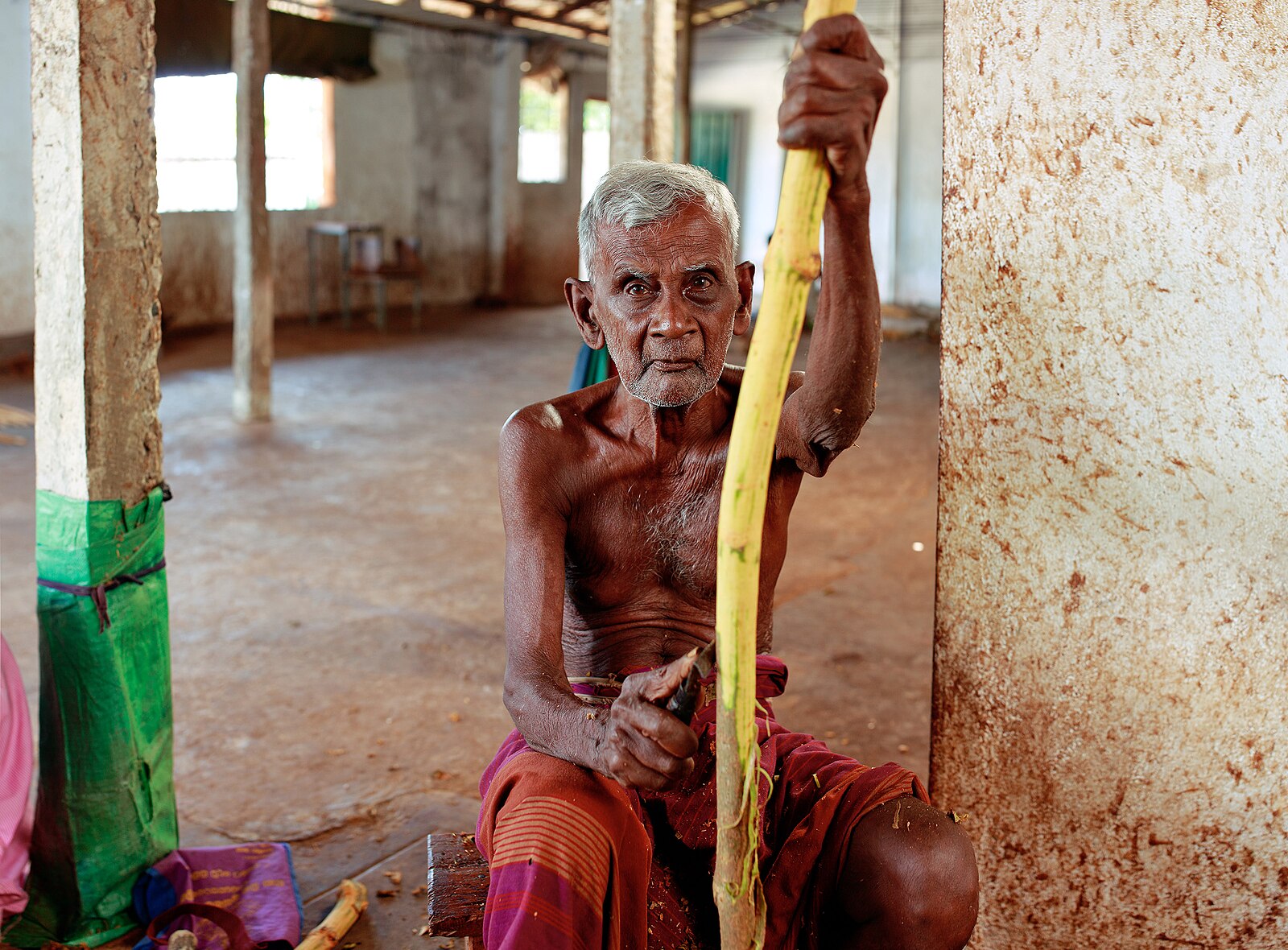 Cinnamon production