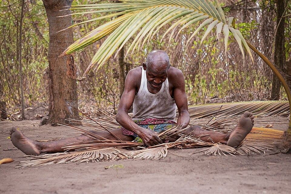 Climate action and environmental resilience